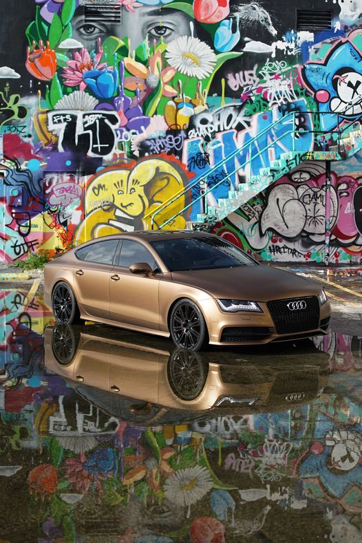 Mocha Brown Car Kit