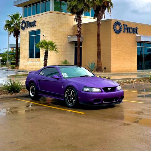 Concord Grape Car Kit