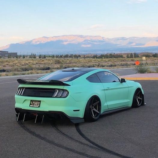 Fresh Mint Car Kit