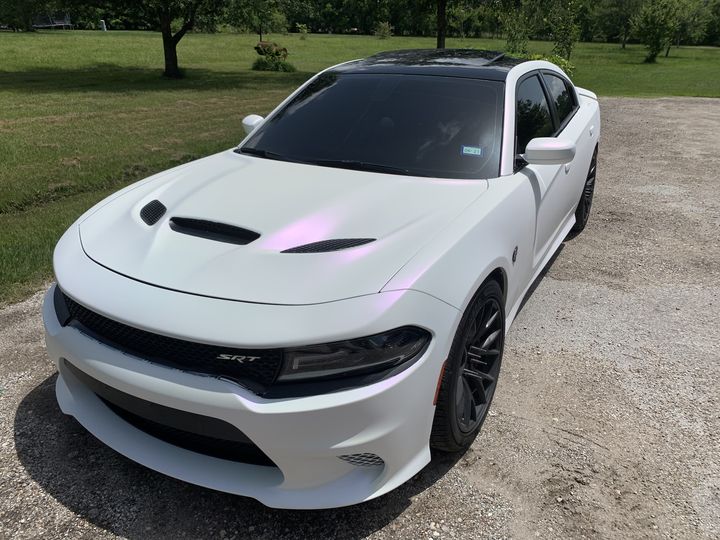 Mardi Gras Car Kit