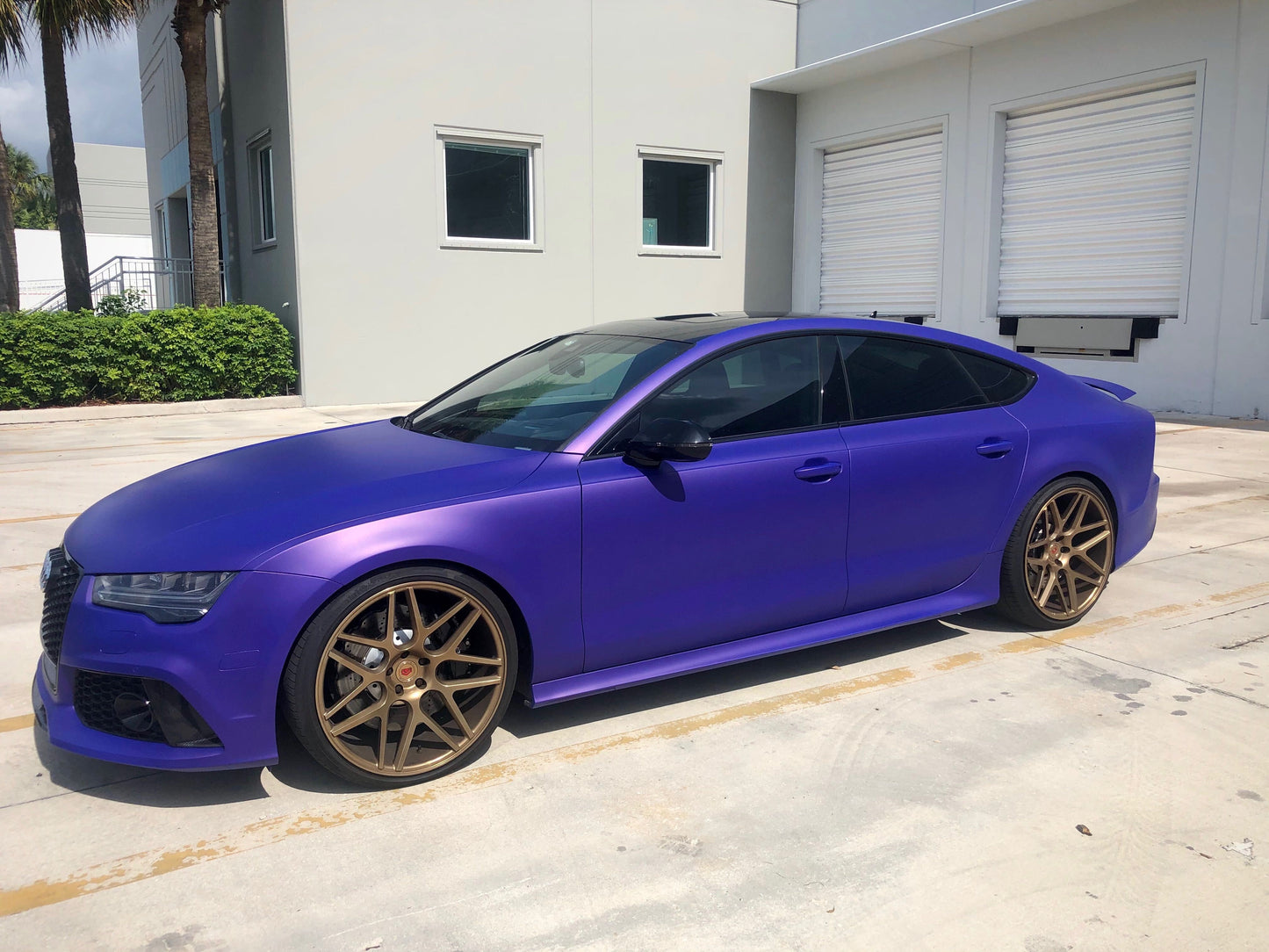 Poison Grape Car Kit