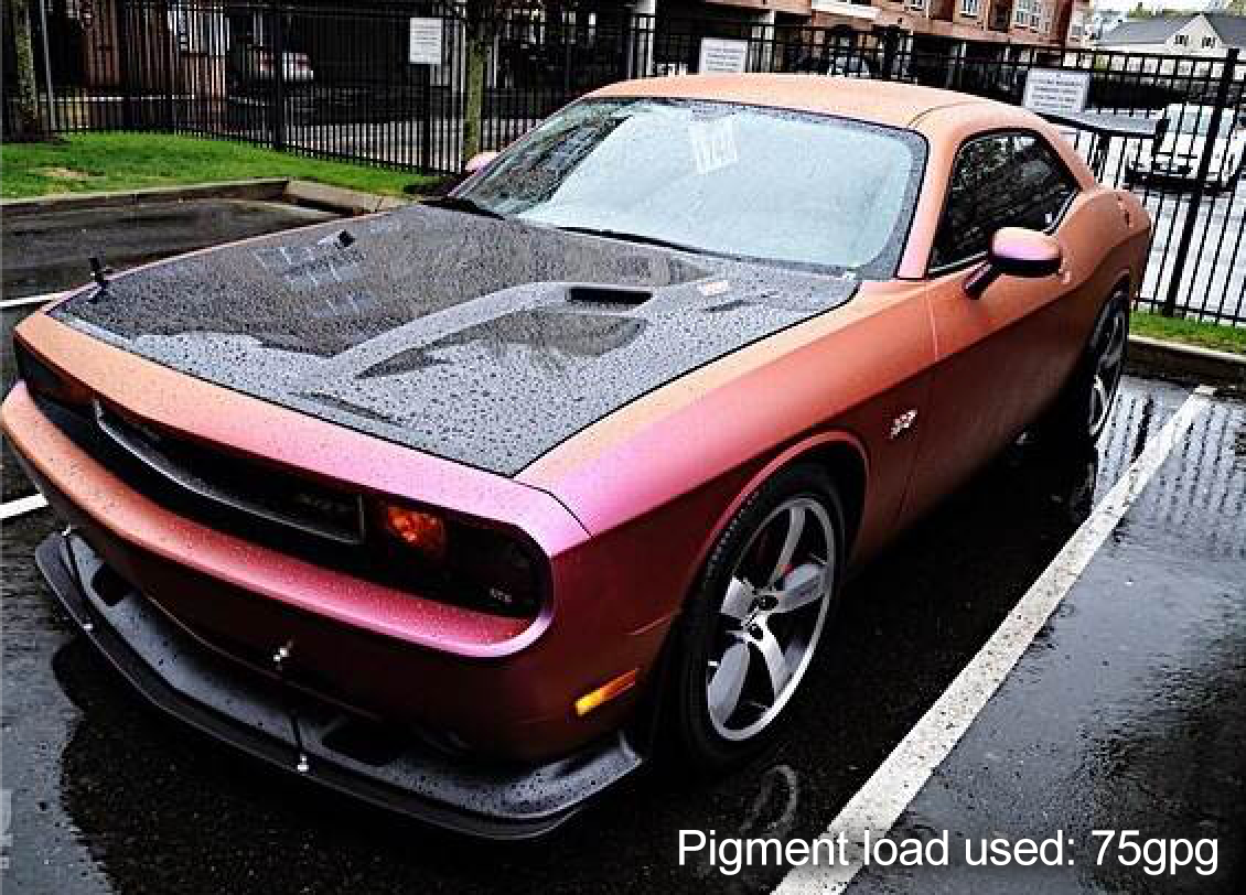 Anthias Car Kit
