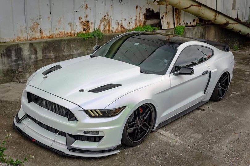 Mardi Gras Car Kit