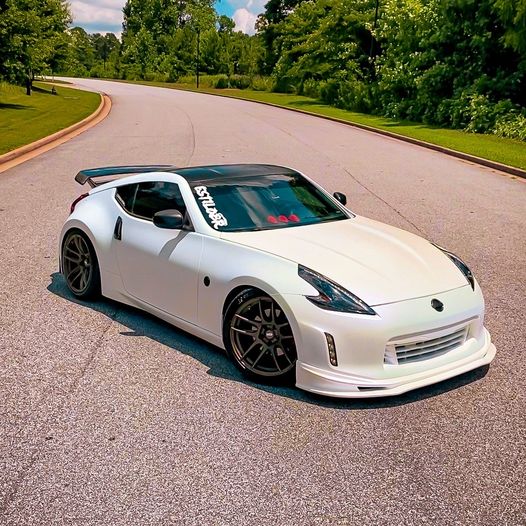 Mardi Gras Car Kit